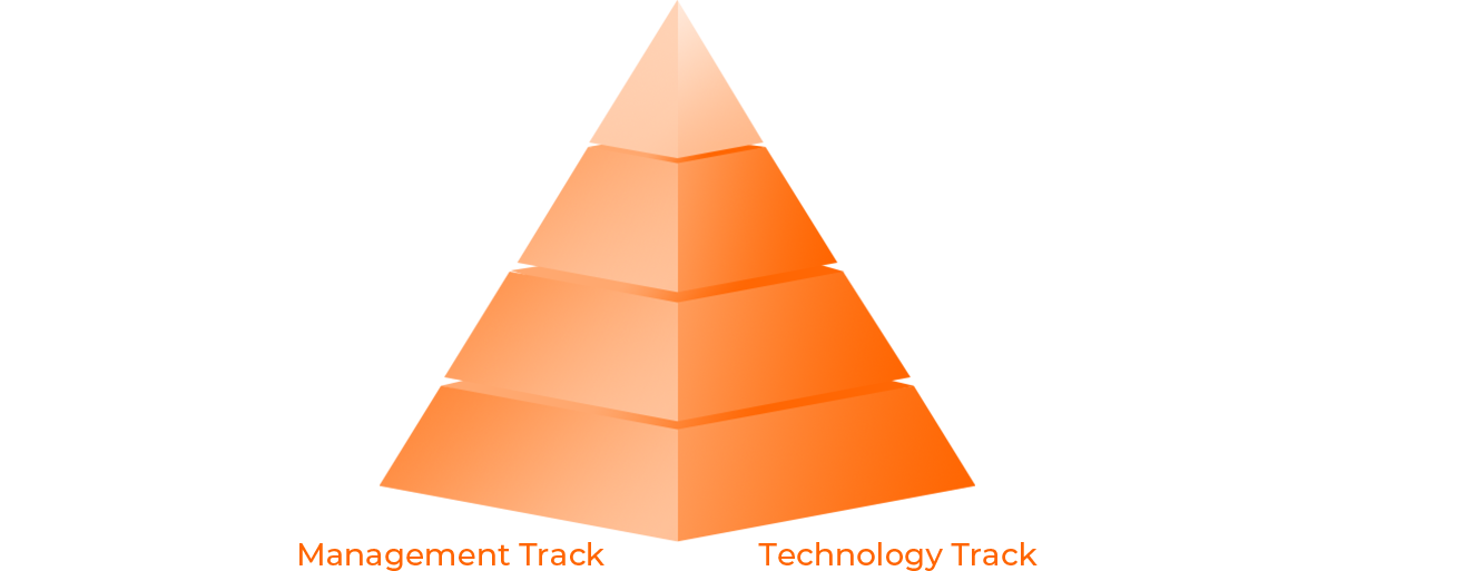 Dual-Track Promotion in Management and Technology 