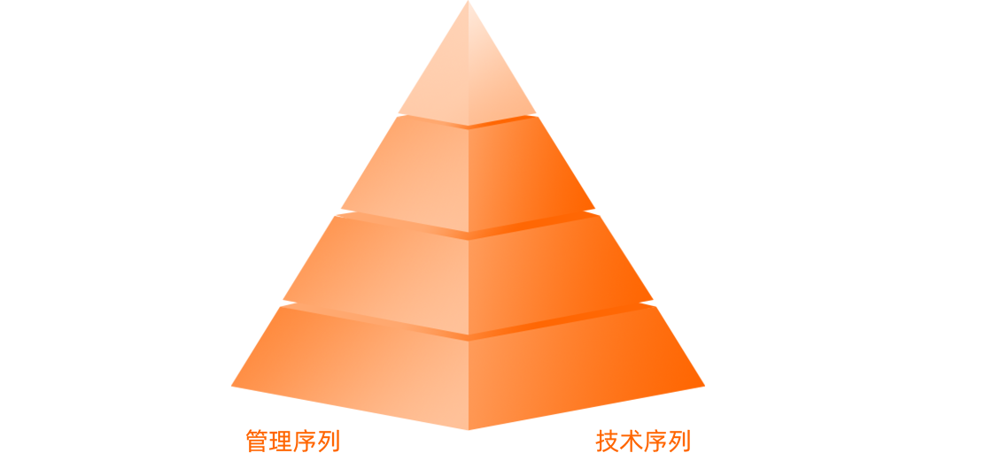 管理+技术 双通道晋升